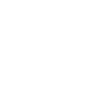 initial consultation icon